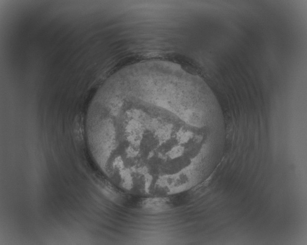 X0000067470179200604211616