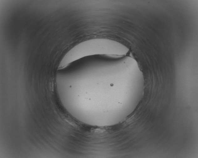 X0000067470180200604211616