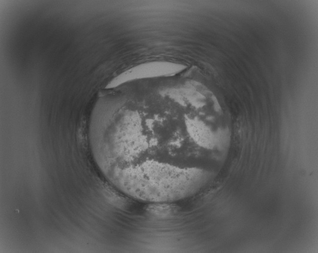 X0000067470181200604211616