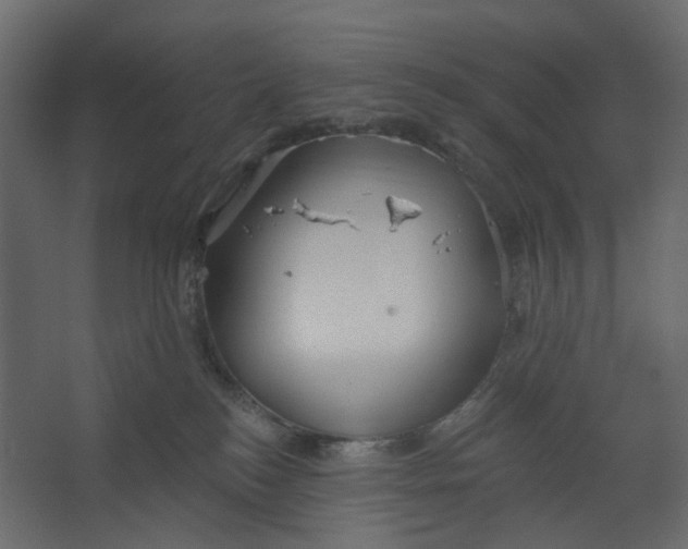 X0000067470184200604211616