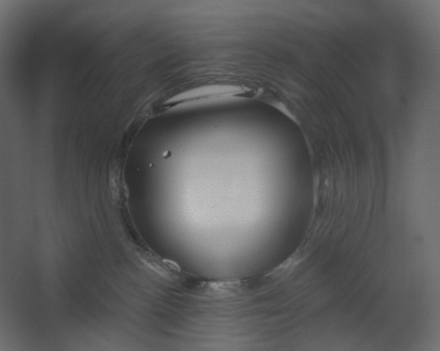 X0000067470188200604211616