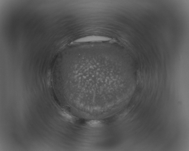 X0000067470189200604211616