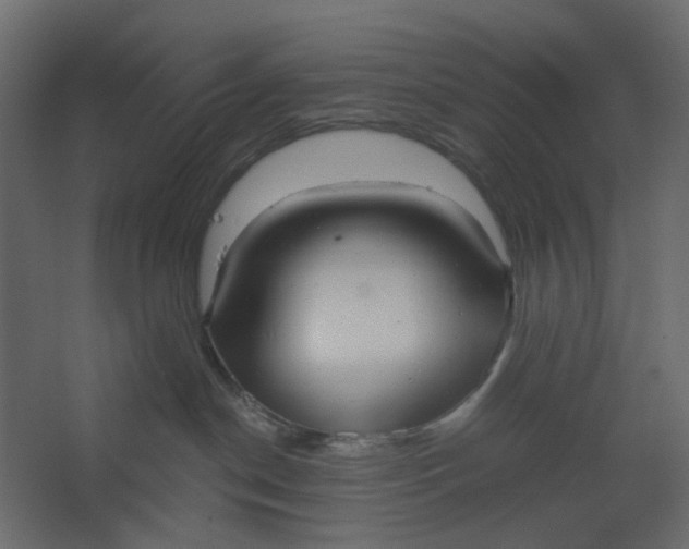 X0000067470190200604211616