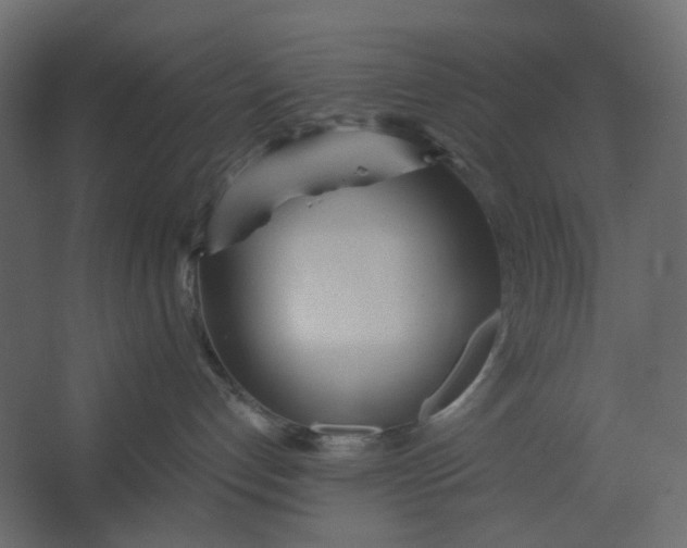 X0000067470192200604211616