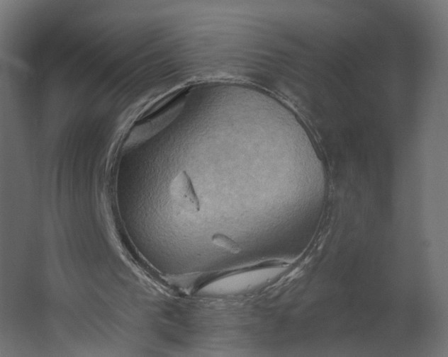 X0000067470193200604211616