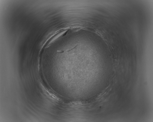 X0000067470194200604211616