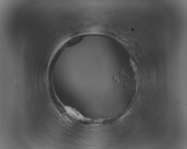 X0000067470200200604211616