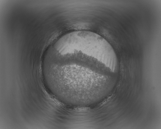 X0000067470202200604211616