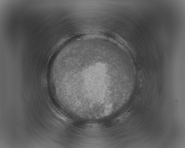 X0000067470203200604211616