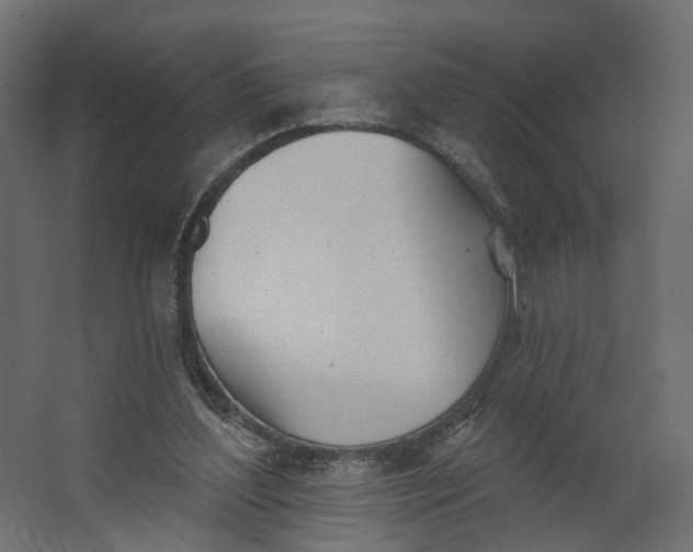 X0000067470204200604211616