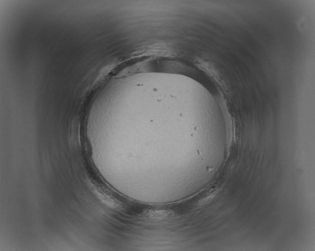 X0000067470205200604211615