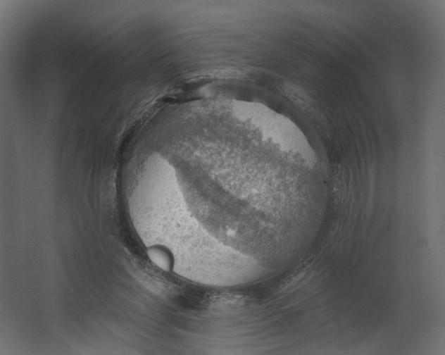 X0000067470206200604211615