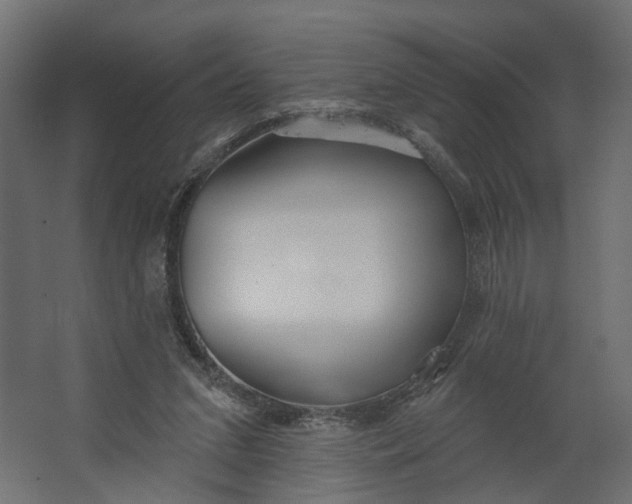 X0000067470207200604211615