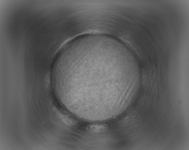 X0000067470208200604211615