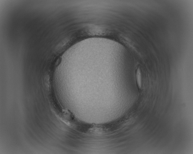 X0000067470211200604211615