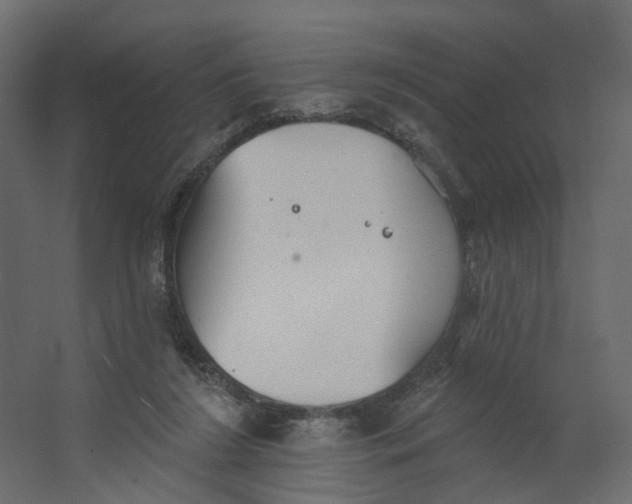 X0000067470212200604211615