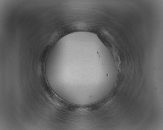 X0000067470213200604211615