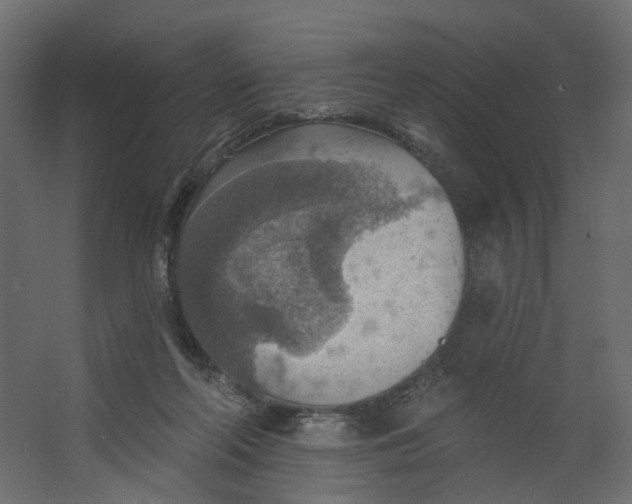 X0000067470214200604211615