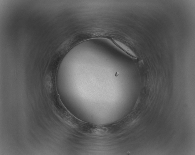 X0000067470215200604211615