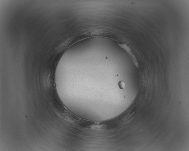 X0000067470216200604211615