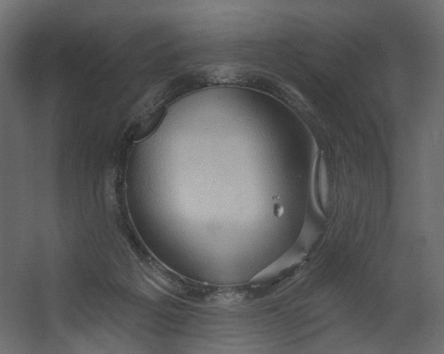 X0000067470217200604211615