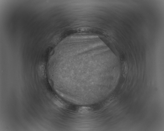 X0000067470222200604211615