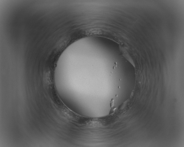 X0000067470224200604211615