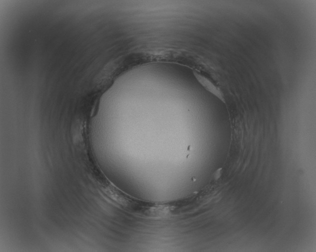 X0000067470225200604211615