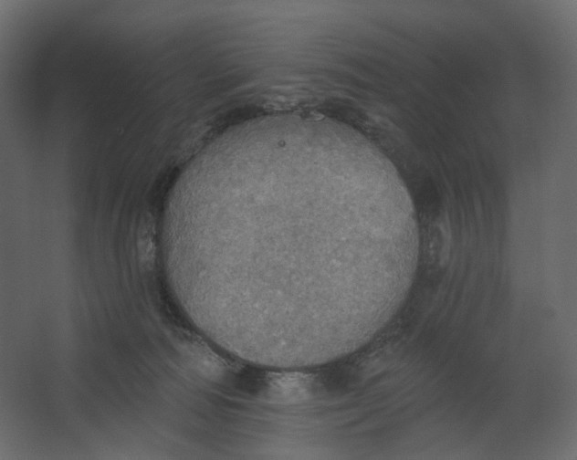 X0000067470226200604211615