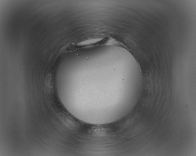 X0000067470228200604211615