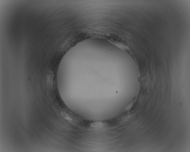 X0000067470231200604211615