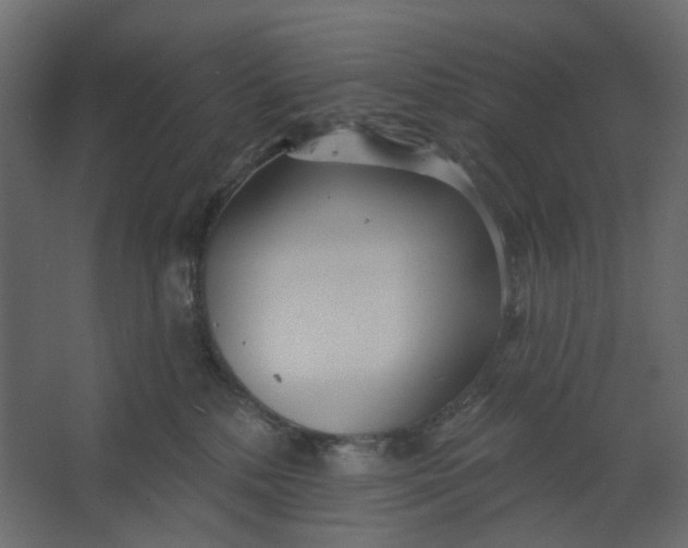 X0000067470232200604211615