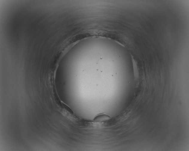 X0000067470233200604211615