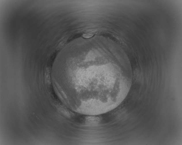 X0000067470234200604211615