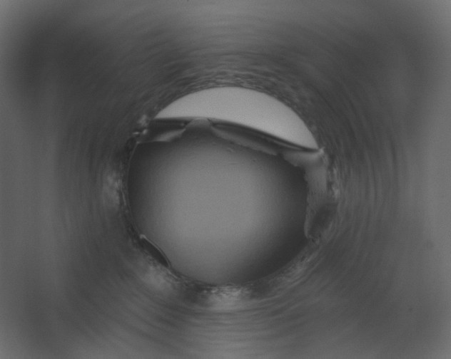 X0000067470235200604211615