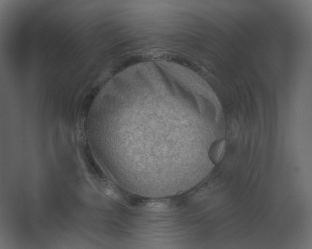 X0000067470236200604211615