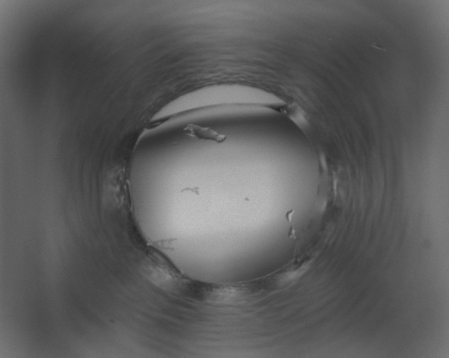 X0000067470237200604211615