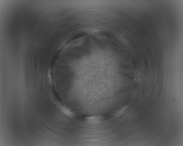 X0000067470238200604211615