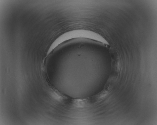 X0000067470239200604211615