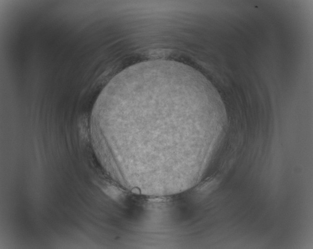 X0000067470240200604211615