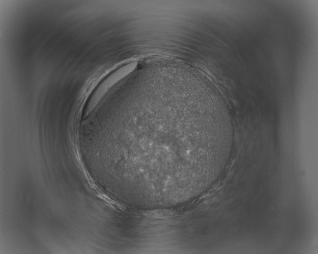 X0000067470241200604211614