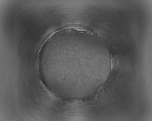 X0000067470243200604211614