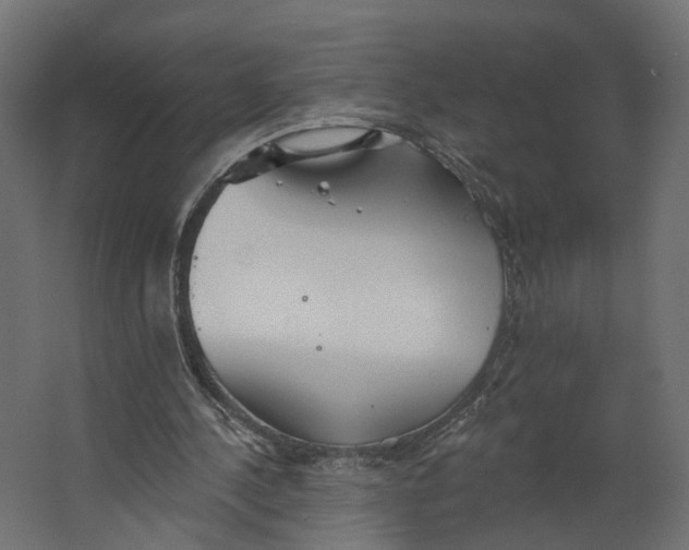 X0000067470244200604211614