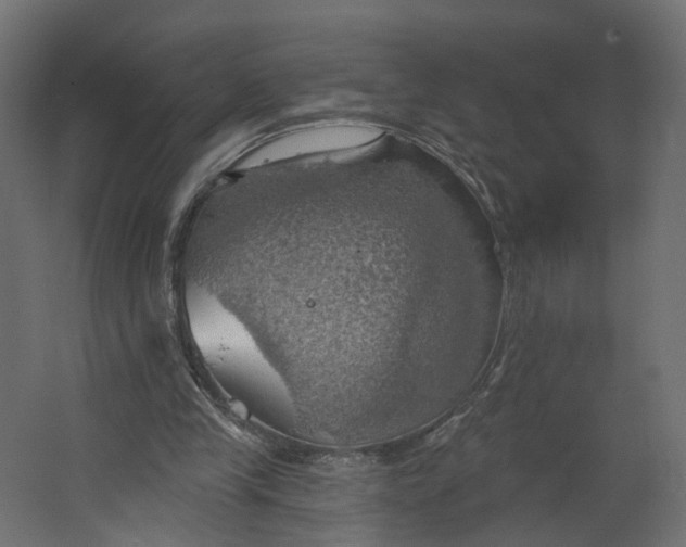 X0000067470245200604211614