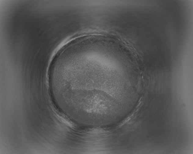 X0000067470246200604211614