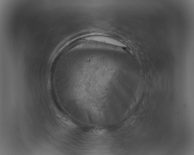 X0000067470247200604211614