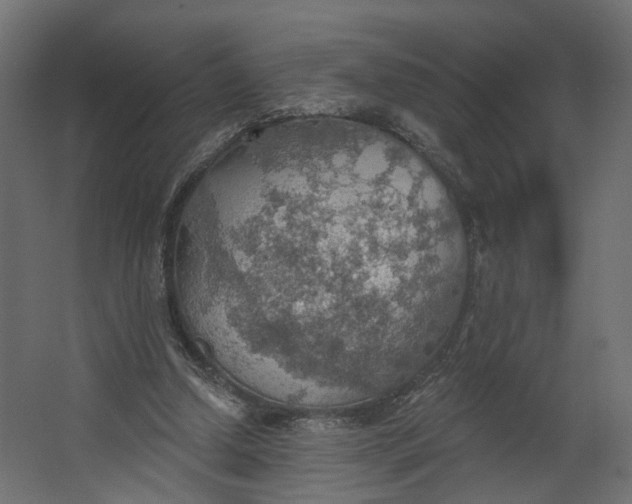 X0000067470250200604211614