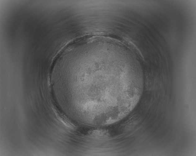 X0000067470251200604211614