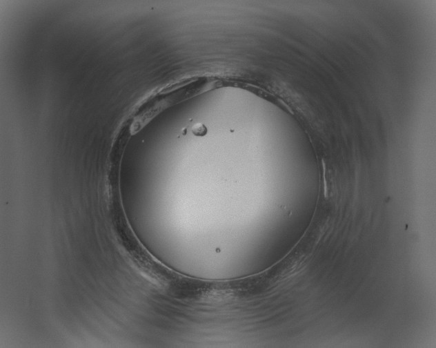 X0000067470252200604211614