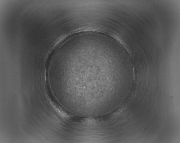 X0000067470253200604211614